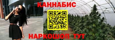 спайс Можга