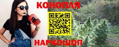 спайс Можга