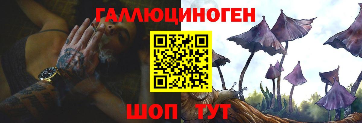 Псилоцибиновые грибы Psilocybe Пыть-Ях